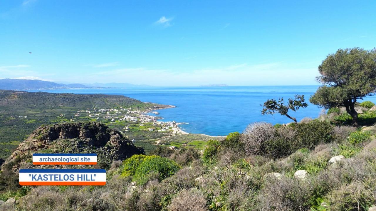 Seaside Studios 莫拉托斯 外观 照片