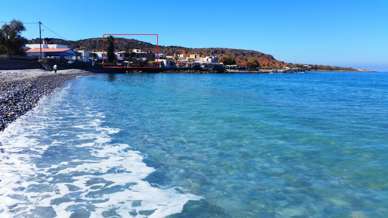 Seaside Studios 莫拉托斯 外观 照片